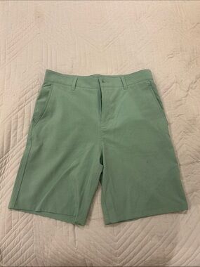 Panama Jack Men's Mint Green Stretch Performance Shorts 33